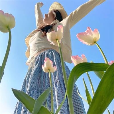 霹雳皇龙纪