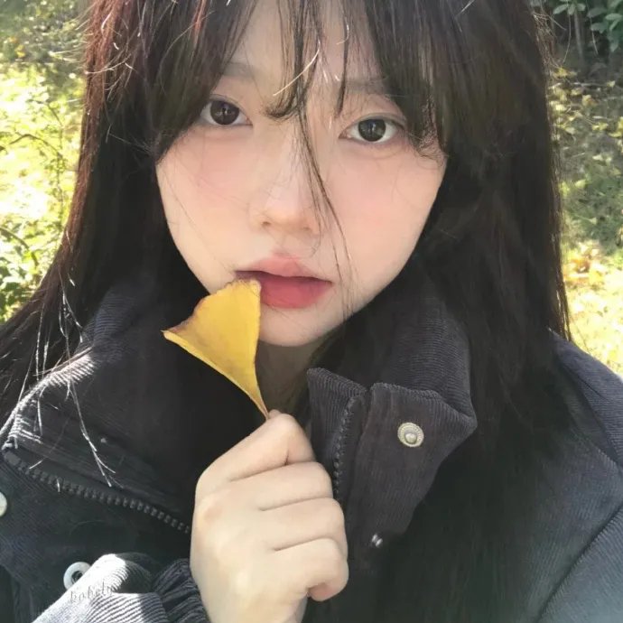 战火边缘的青春
